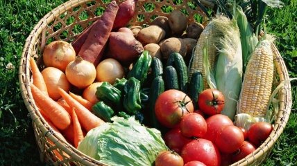 В Украине картофеля и овощей - в 2 раза больше, чем нужно  
