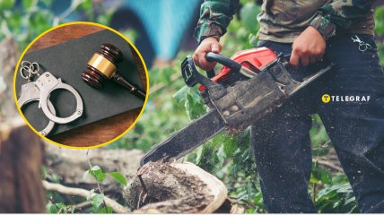 Самовольно такие решения лучше не принимать