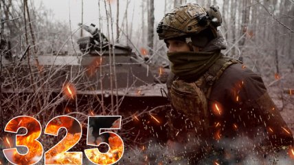 Бої за Україну тривають 325 днів