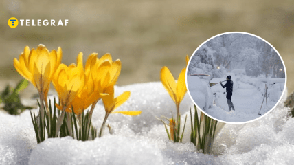 Цветы и снегопад