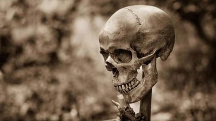 В Швеции нашли человеческие черепа, насаженные на колья 