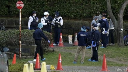 Взрыв в японском парке совершил пенсионер-самоубийца