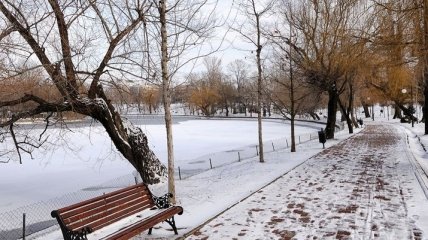 Погода в Украине на 6 декабря: немного потеплеет