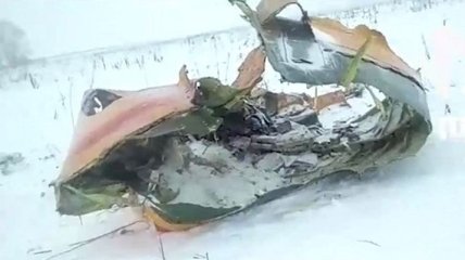Авиакатастрофа Ан-148: названы первые версии крушения 