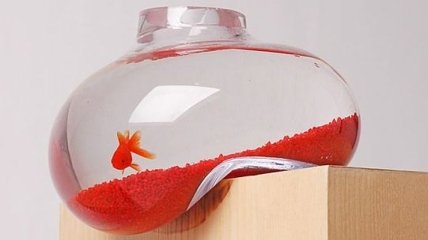 Необычный дизайн аквариумов (Фото) 