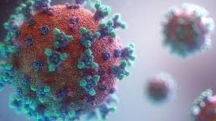 Ученые выяснили уникальную особенность "африканского" коронавируса 