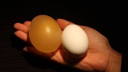Невероятный научный эксперимент с яйцом и уксусом (Видео)