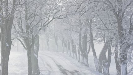 Погода в Украине на 9 декабря: дожди, мокрый снег и туман 