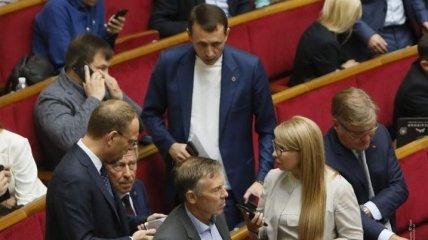 "Батькивщина" предложила Глущенко кандидатом в ЦИК