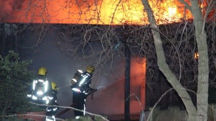 Крупный пожар охватил зоопарк в Лондоне