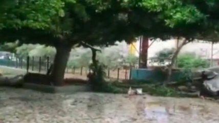 Ветер сносил все на своем пути: на Анталию обрушился ураган, есть жертва (видео)