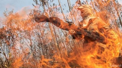 Президент Бразилии ляжет под нож вместо саммита по пожарам Амазонии