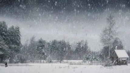 Прогноз погоды на 29 декабря: Украину ожидают метели
