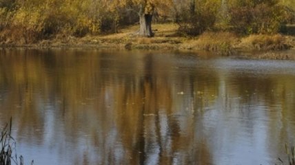 На Львовщине утонула 56-летняя женщина