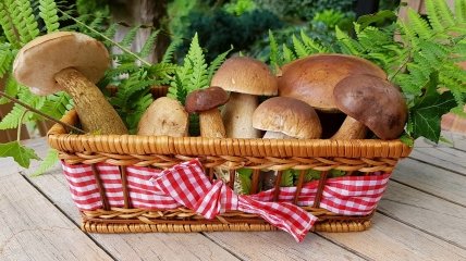 7 вересня — хороший день, щоб піти по гриби