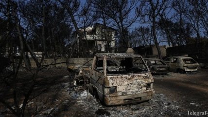 В Греции увеличилось количество жертв лесных пожаров