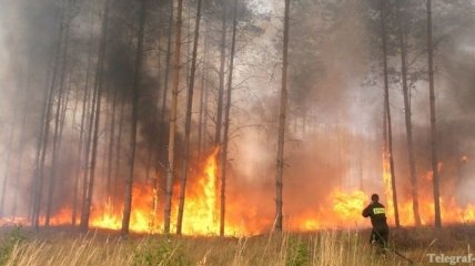 Португалия попросила у ЕС помощи в тушении лесных пожаров