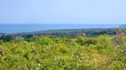 В Болгарии предлагают отменить мораторий на продажу земли