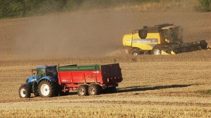 Аграрный сектор: Франции требуется до 80 тыс сезонных работников
