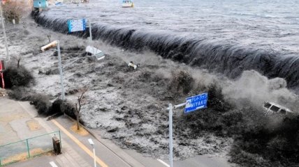 Ученые создадут обучающую систему, которая научит поведению во время цунами