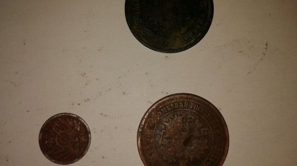 ГПСУ: Гражданин США хотел вынести в Молдову старинные монеты 