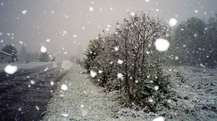 Погода в Украине на 13 декабря: сильный ветер, мокрый снег с дождем