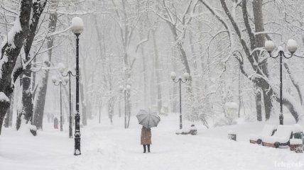 В Украине ожидаются сильные морозы в конце января