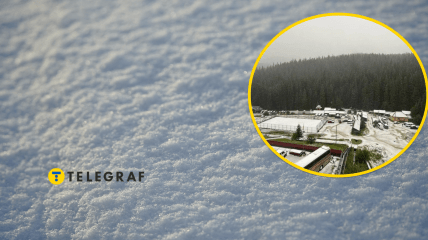 В Украине на День Независимости выпал первый снег: где и почему так происходит (видео)