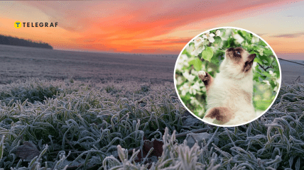 Заморозки припадут на начало апреля