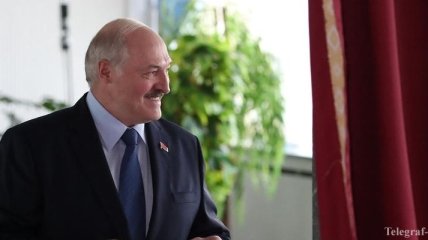 Глава Беларуси поздравил Зеленского с Днем Независимости