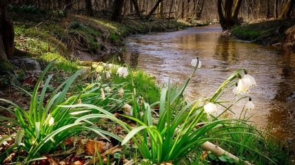 Какой праздник 24 апреля: народные приметы и запреты