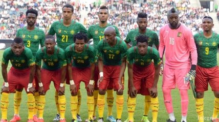 ЧМ-2014. Сборная Камеруна отказывается лететь на чемпионат