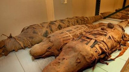 В Египте нашли мумию огромного крокодила