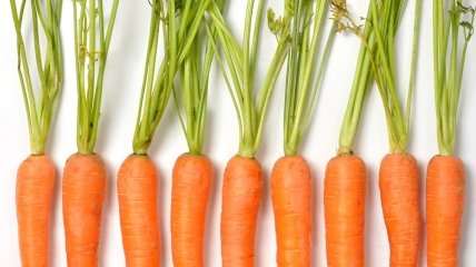 Морковные витамины для всей семьи