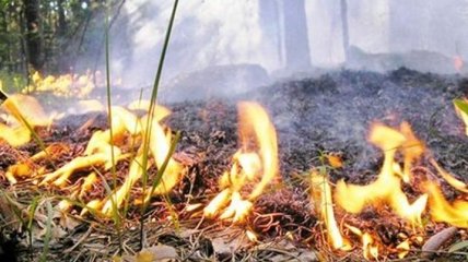 В 4 областях Украины сохранится высокая пожарная опасность