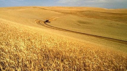 Що зберуть українські аграрії в 2020 році