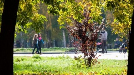 Замглавы КГГА: В мае в Киеве откроются три обновленных парка
