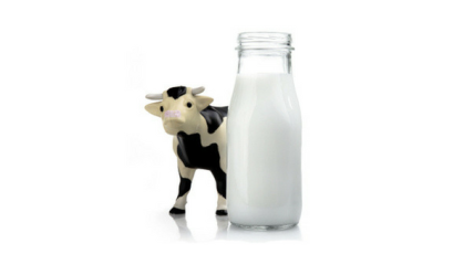 Коровье молоко в детском питании