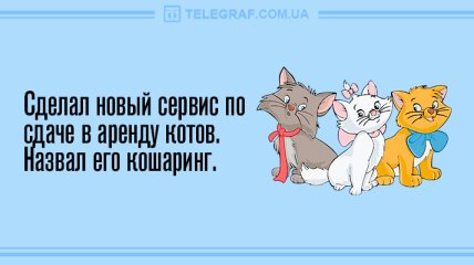 Только позитив и отличное настроение: анекдоты на день 18 июля