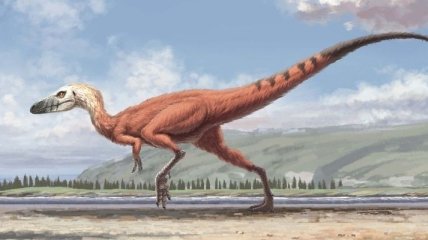 Ученые нашли отпечатки лап самого мелкого динозавра