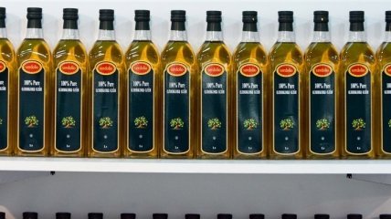 Оливковое масло поможет сохранить здоровье костей