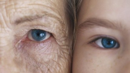 Борьба со старением: обнаружили фермент, влияющий на продолжительность жизни
