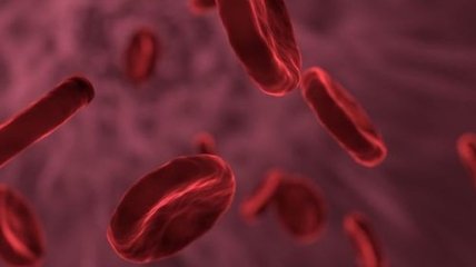 Новое исследование: Как появился гемоглобин?