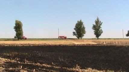 В Харьковской области горело поле пшеницы