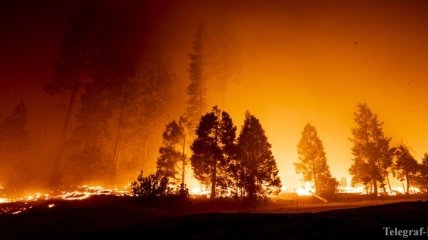 Новый "рекорд": в Калифорнии лесные пожары сожгли более 800 тысяч га (Видео)