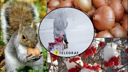 Народні прикмети розповідають, якою буде зима