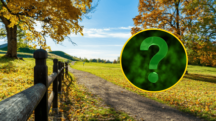 Осіння дорога