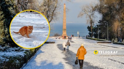 Погода в Одессе