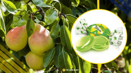 Ілюстративне фото