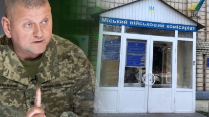 Залужний відправив на доопрацювання документ, яким вводилися довідки для переміщення по Україні